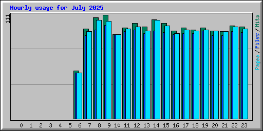 Hourly usage for July 2025