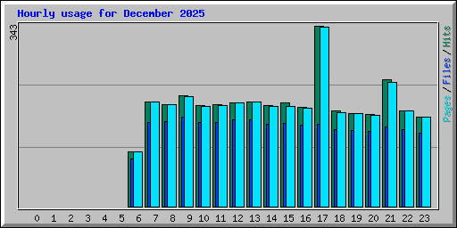 Hourly usage for December 2025