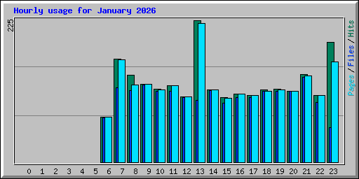 Hourly usage for January 2026